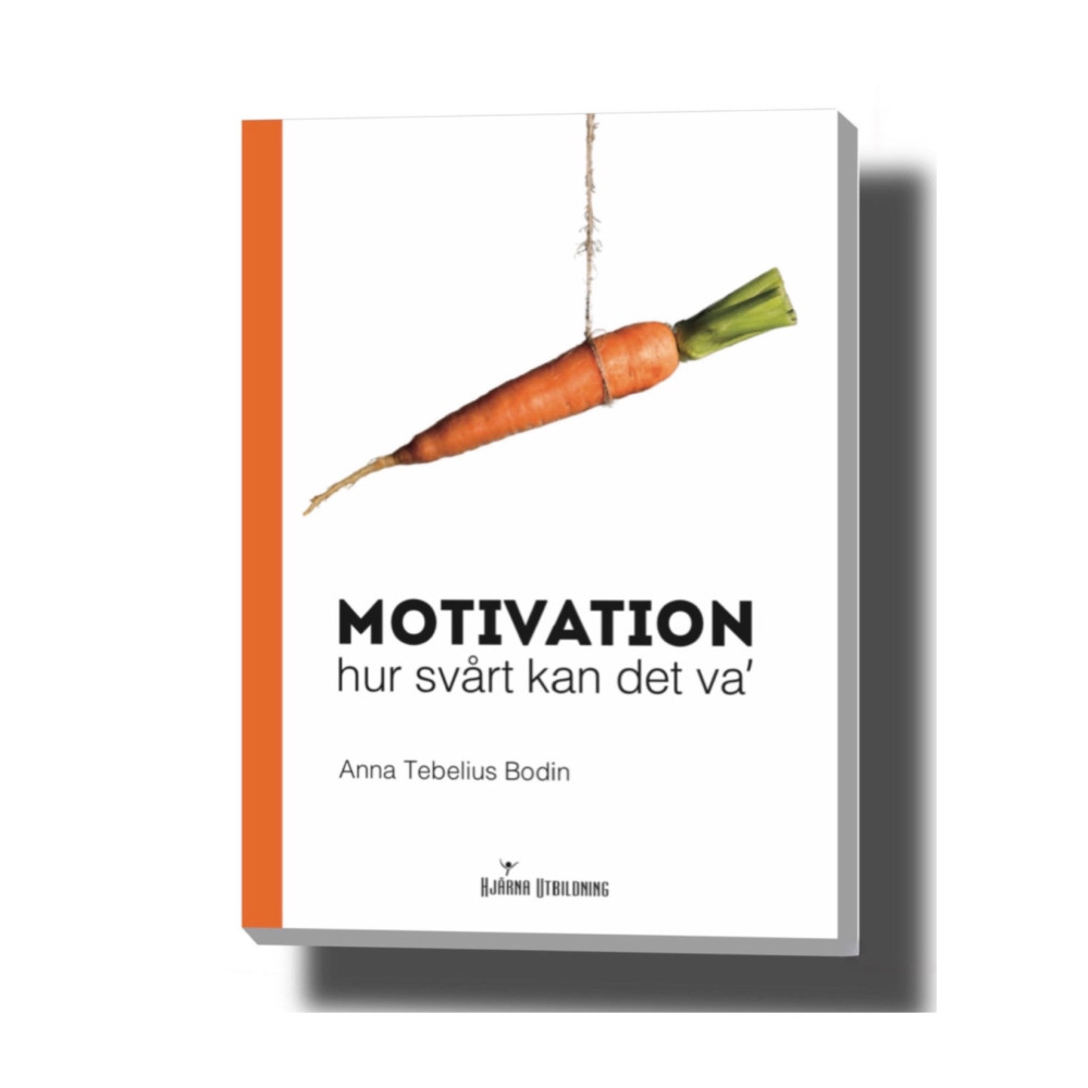 Produktbild för Motivation - hur svårt kan det va' (häftad)