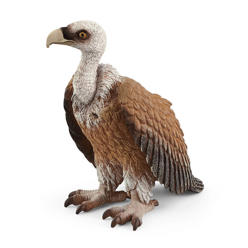 Produktbild för schleich I det vilda Vulture