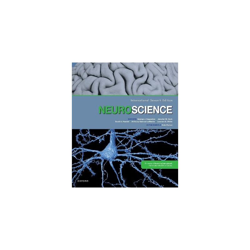 Produktbild för Neuroscience (häftad, eng)