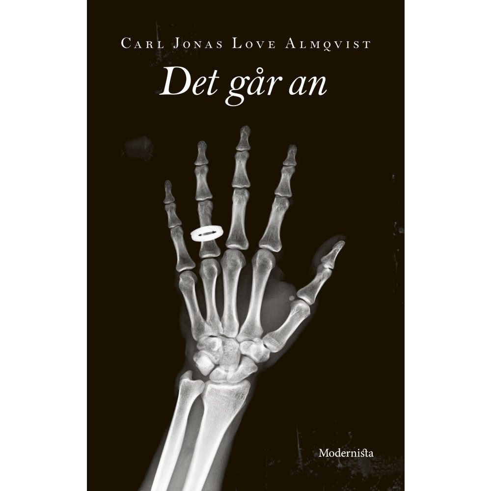 Produktbild för Det går an (inbunden)
