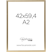 Produktbild för Focus Can-Can Shiny Gold 42x59,4 (A2)