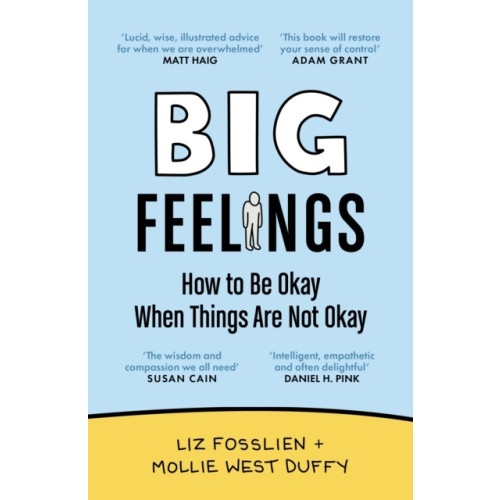 Liz Fosslien Big Feelings (pocket, eng)