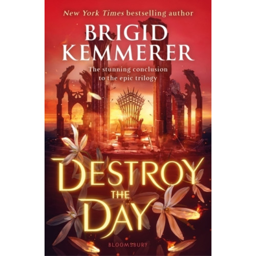 Brigid Kemmerer Destroy the Day (pocket, eng)