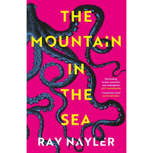 Ray Nayler The Mountain in the Sea (pocket, eng)