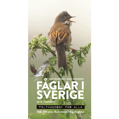 Jan Pedersen Fåglar i Sverige och Norden : fälthandbok för alla (bok, flexband)