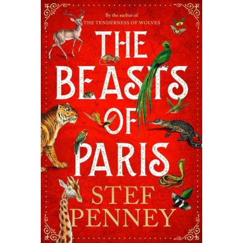 Stef Penney The Beasts of Paris (pocket, eng)