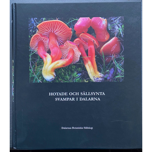 Dalarnas Botaniska Sällskap Dalarnas hotade och sällsynta svampar (häftad)