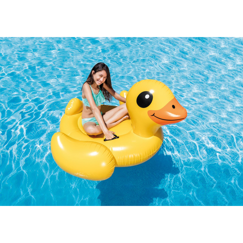 Produktbild för Intex 57556NP pool- och badmadrass Multifärg Bild Sittbadleksak