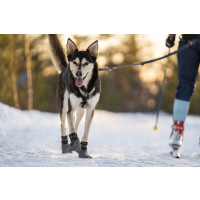 Produktbild för Hundskor High Endurance 4p Grå