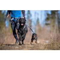 Produktbild för Draglina Rush Joring Grå