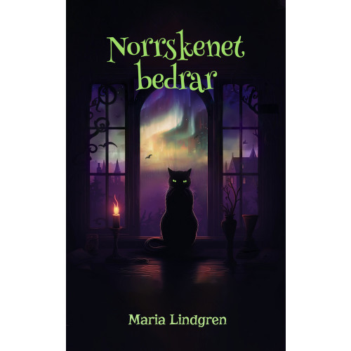 Maria Lindgren Norrskenet bedrar (häftad)