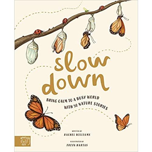 Rachel Williams Slow Down (häftad, eng)