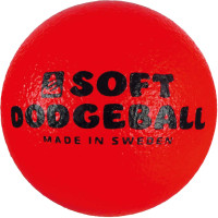Miniatyr av produktbild för Dodgeball