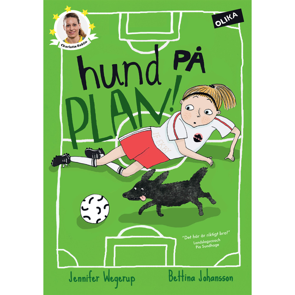 Produktbild för Hund på plan! (inbunden)