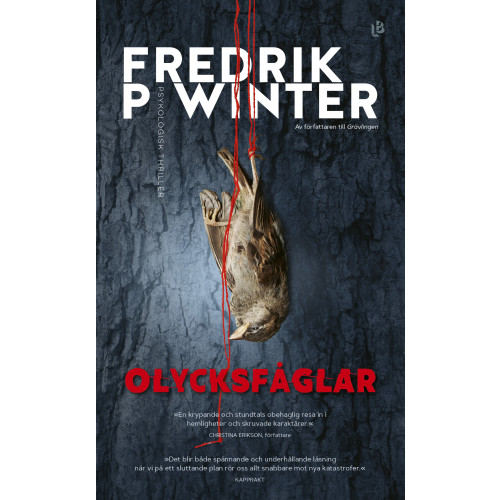 Fredrik P. Winter Olycksfåglar (pocket)
