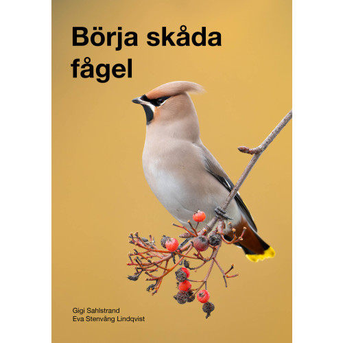 Eva Stenvång Lindqvist Börja skåda fågel, tredje upplagan (bok, flexband)