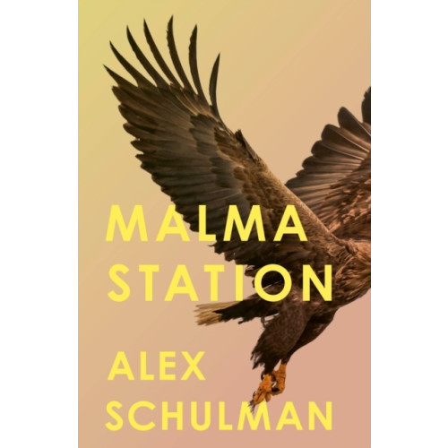 Alex Schulman Malma Station (häftad, eng)