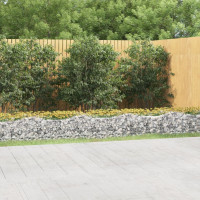 Produktbild för Upphöjd planteringsgabion 800x50x50 cm galvaniserat järn