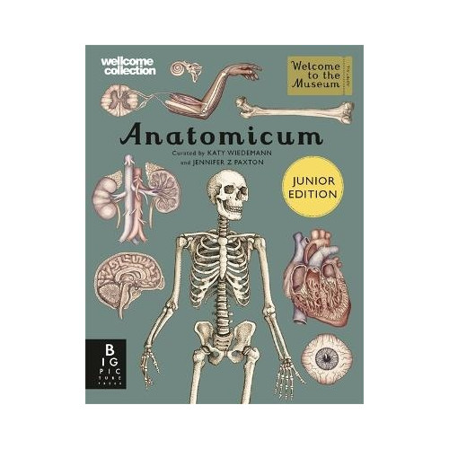 Jennifer Z Paxton Anatomicum Junior (inbunden, eng)