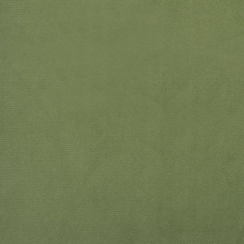 Produktbild för Bäddsoffa 2-sits ljusgrön sammet