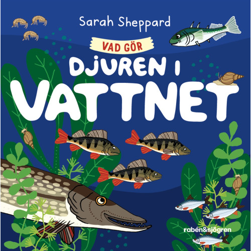 Sarah Sheppard Vad gör djuren i vattnet? (bok, board book)