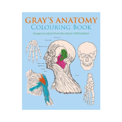 Henry Gray Gray's Anatomy Colouring Book (häftad, eng)