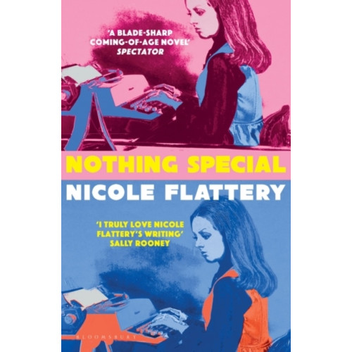 Nicole Flattery Nothing Special (pocket, eng)
