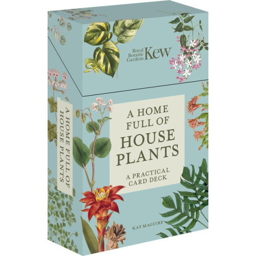 Kay Maguire A Home Full of House Plants