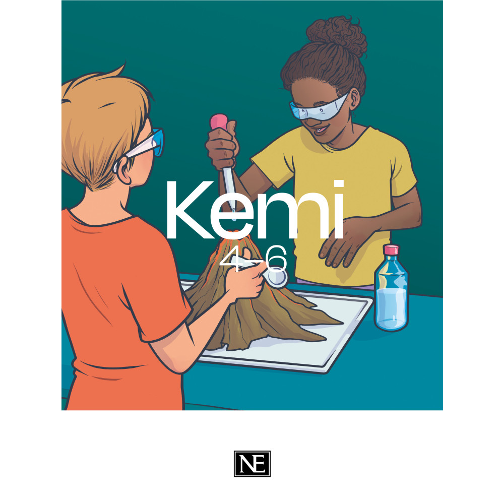 Produktbild för NE Kemi 4-6 (häftad)