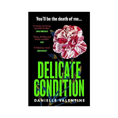 Danielle Valentine Delicate Condition (pocket, eng)