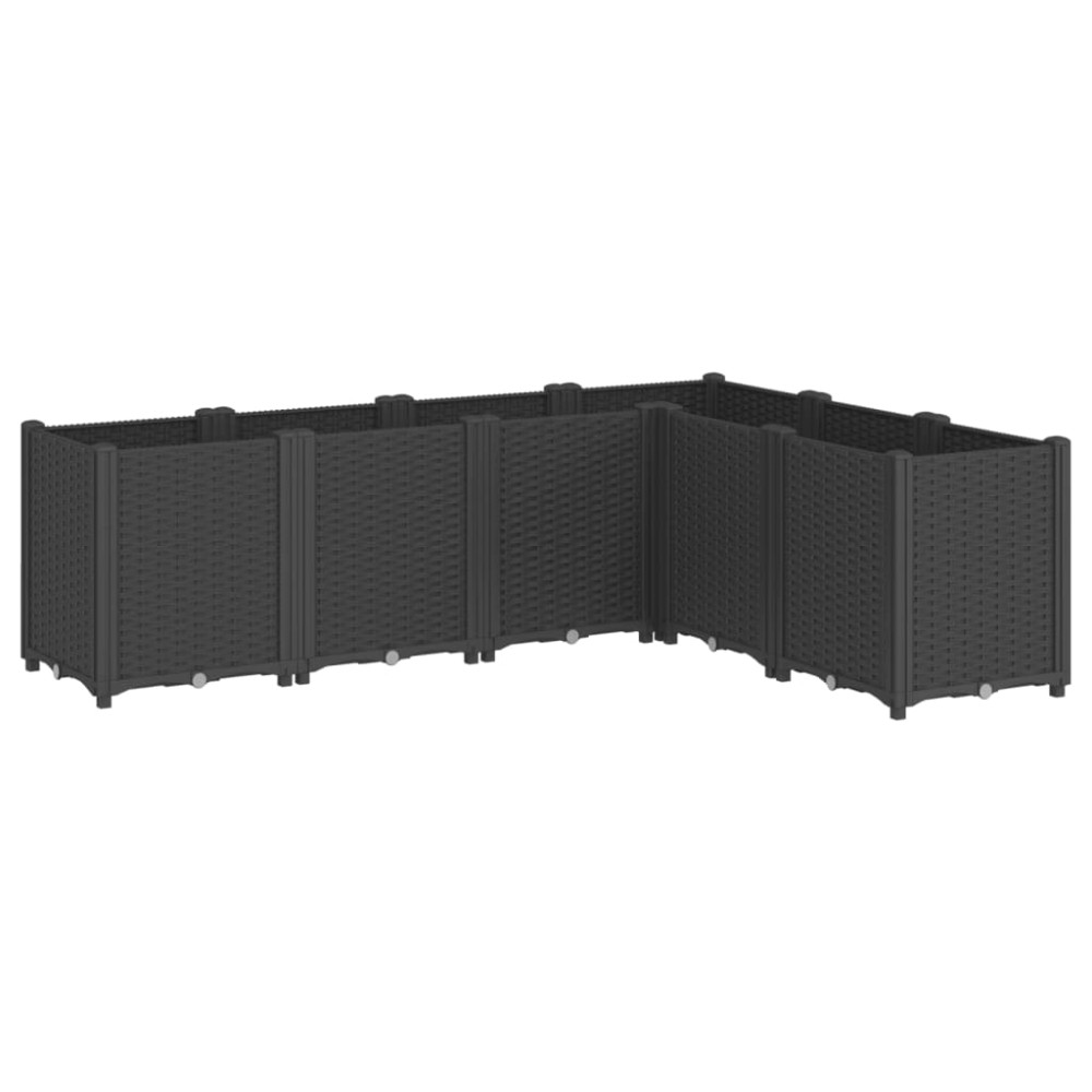 Produktbild för Odlingslåda svart 160x120x53 cm PP