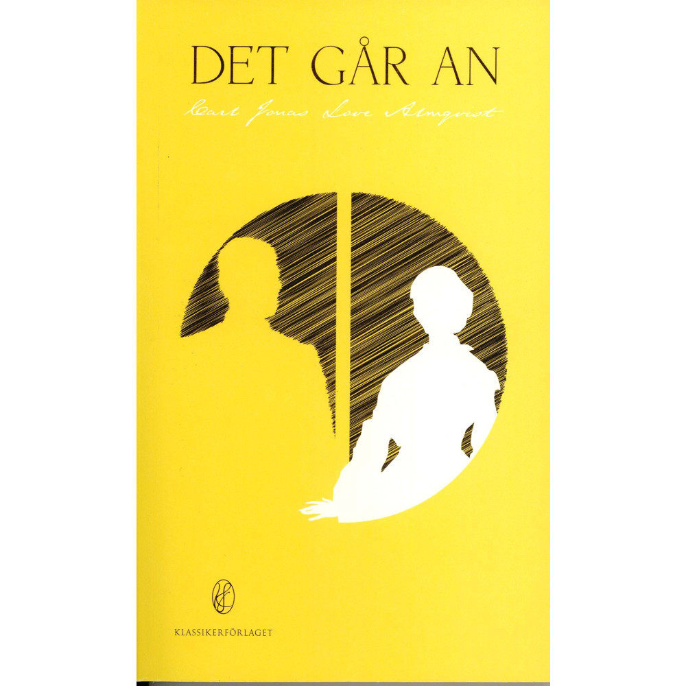 Produktbild för Det går an (pocket)