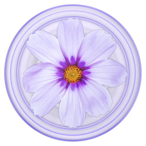 POPSOCKETS PopGrip Plant Purple Cosmo