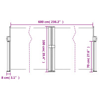 Produktbild för Infällbar sidomarkis antracit 100x600 cm