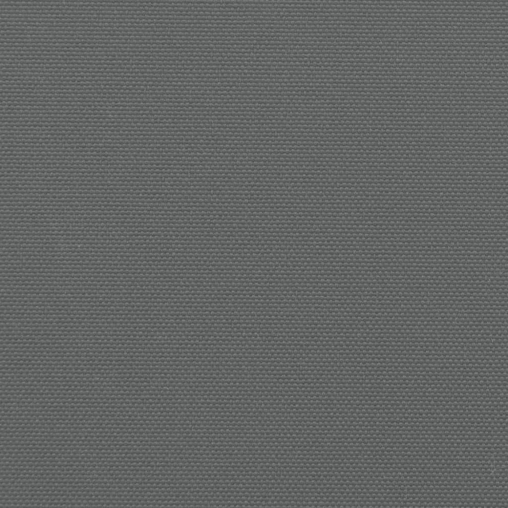 Produktbild för Infällbar sidomarkis 220x600 cm antracit