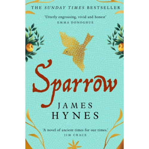 James Hynes Sparrow (pocket, eng)