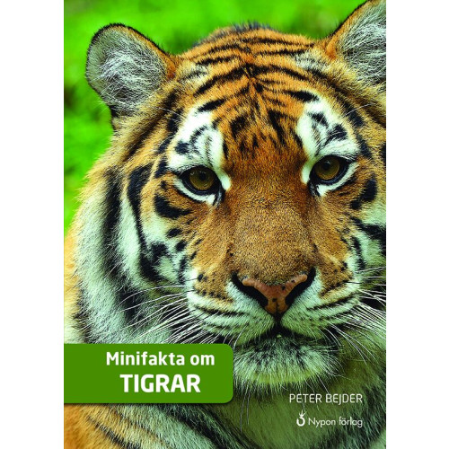 Peter Bejder Minifakta om tigrar (inbunden)
