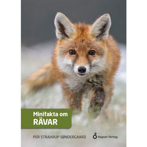 Per Straarup Söndergaard Minifakta om rävar (inbunden)