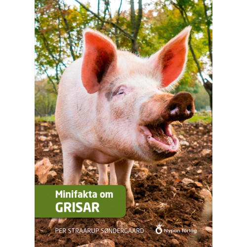 Per Straarup Söndergaard Minifakta om grisar (inbunden)