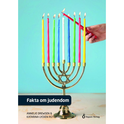 Katarina Lycken Rüter Fakta om judendom (inbunden)