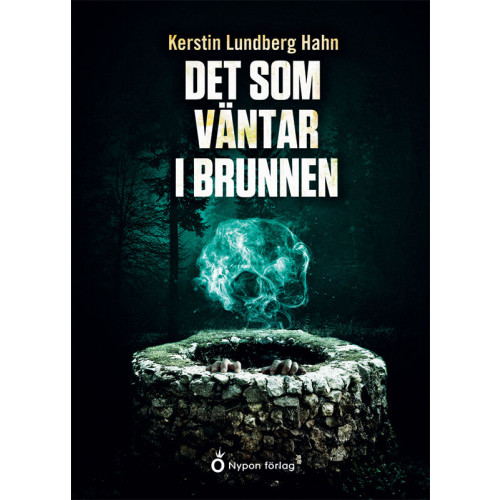 Kerstin Lundberg Hahn Det som väntar i brunnen (bok, kartonnage)