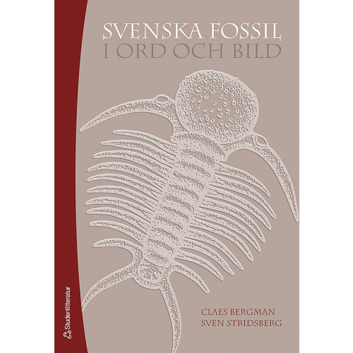 Claes Bergman Svenska fossil i ord och bild (häftad)