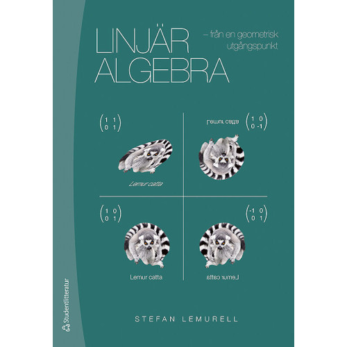 Stefan Lemurell Linjär algebra : från en geometrisk utgångspunkt (häftad)