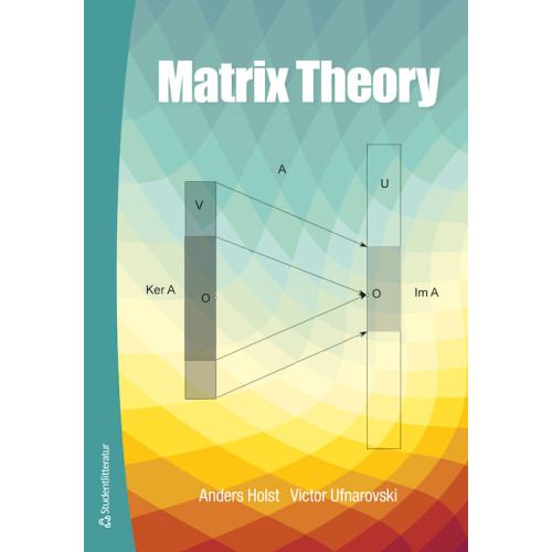 Anders Holst Matrix Theory (häftad, eng)