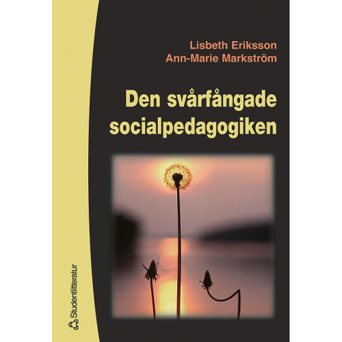 Lisbeth Eriksson Den svårfångade socialpedagogiken (häftad)