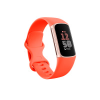Produktbild för Fitbit Charge 6 AMOLED Armband med aktivitetsspårare Korall, Guld