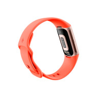 Produktbild för Fitbit Charge 6 AMOLED Armband med aktivitetsspårare Korall, Guld