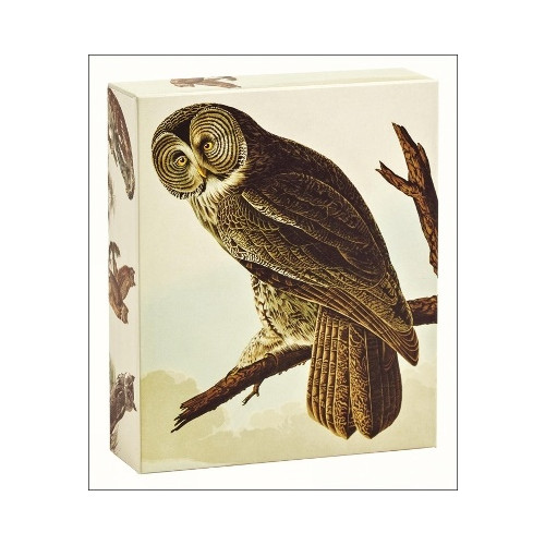 teNeues Stationery Audubon Owls Quicknotes : QuickNotes