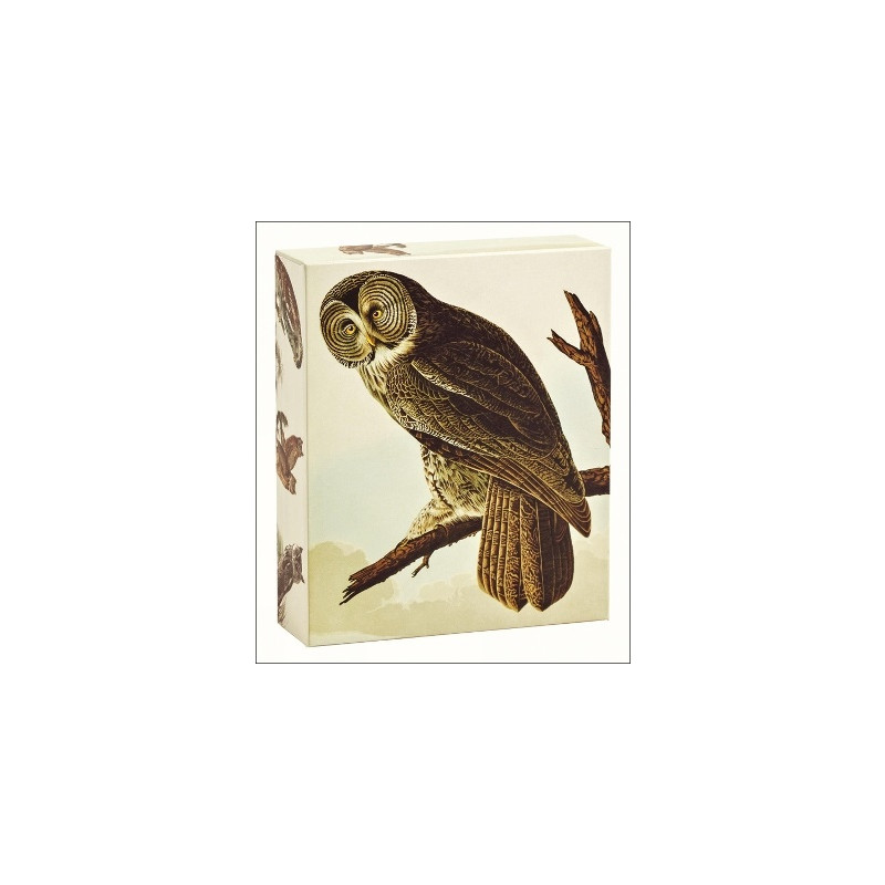 Produktbild för Audubon Owls Quicknotes : QuickNotes