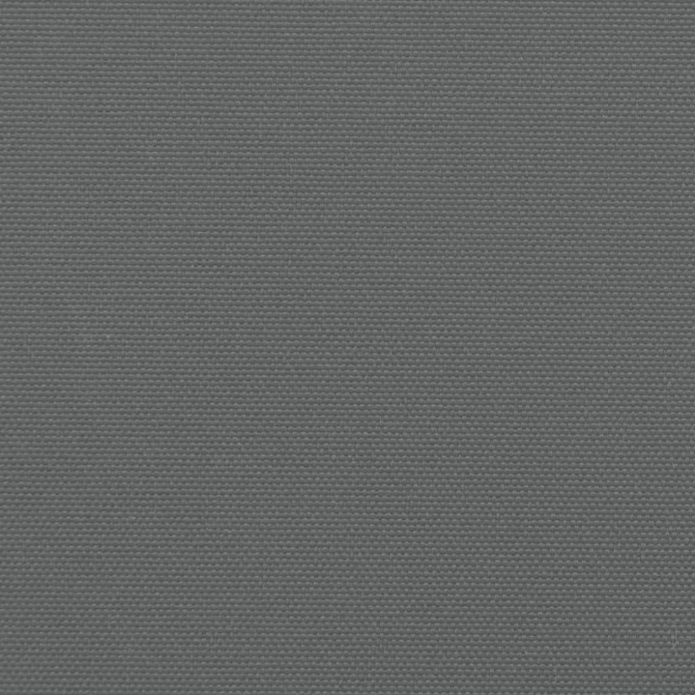 Produktbild för Infällbar sidomarkis antracit 200x1000 cm